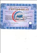 сертификат участника семинара "Профессиональный стандарт специалиста по управлению персоналом:новые требования.Применение профессиональных стандартов с 01.07.2016 и порядокизменения трудовых отношений"